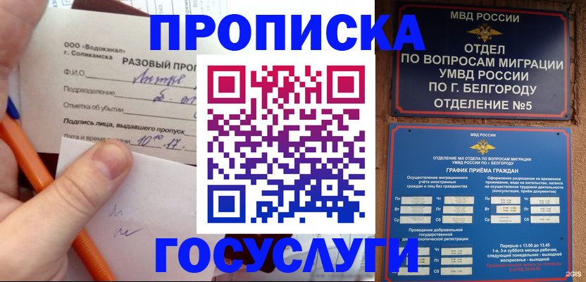 временная регистрация адрес в Красногорске